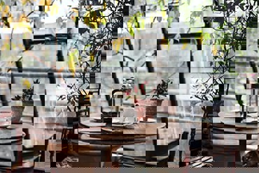 Subscribe to our news and save up to 20% with your personal offer!